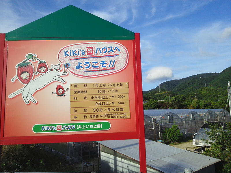苺狩りは1月～６月に楽しんで