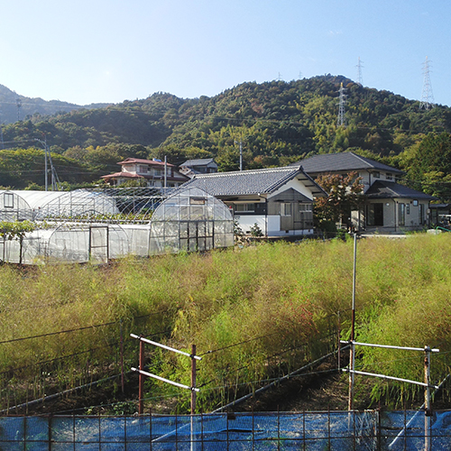 農家民宿　ととかか　